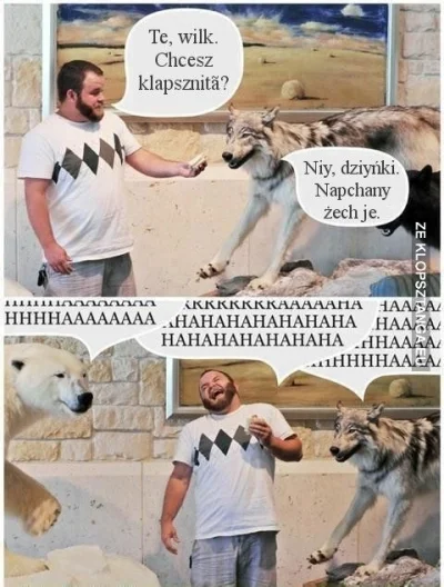 loginzajetysic - #klopsztanga #humor #smiesznypiesek