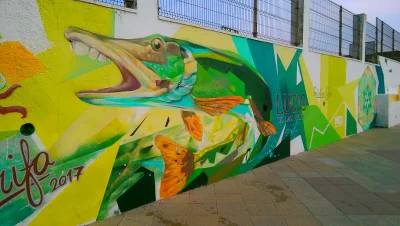 Slimac - #streetart #zielonagora #grafiti #tarifa #hiszpania #szczupakkrolwod
Pozdro ...
