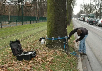 w.....z - @robert5502: Już dotarło, i zostało poddane badaniu na wariografie, przyzna...