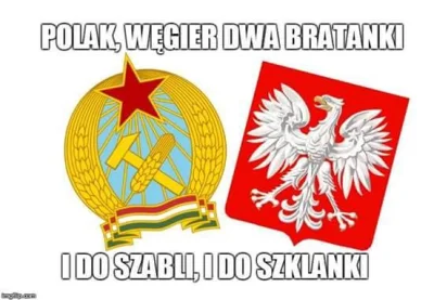 K.....l - Operacja Dunaj zobowiązuje.
#neuropa #polakwegier