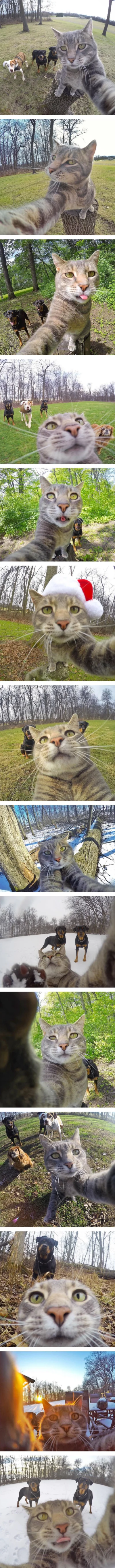 paprok - > Mój kot zrobił sobie selfie

@Elmair: znam takiego jednego co jest uzale...