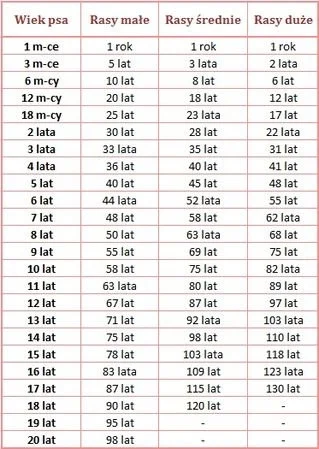 123123Czub123123 - Przecież psy tyle nie żyją, góra 20 lat.