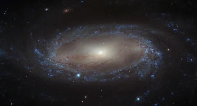 d.....4 - IC 2560

#kosmos #astronomia #conocjednagalaktyka #dobranoc