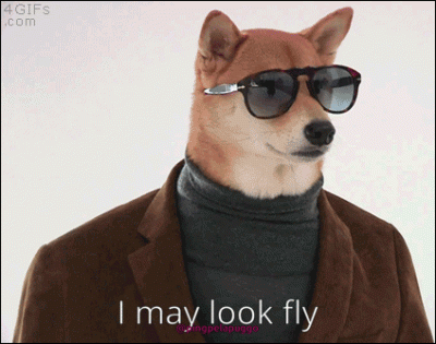 j.....i - @Chrzan: @Aerdyn: :P