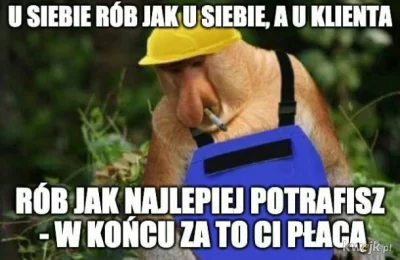 barteek2313 - #nosaczsundajski #nosacz #polak #heheszki #humorobrazkowy