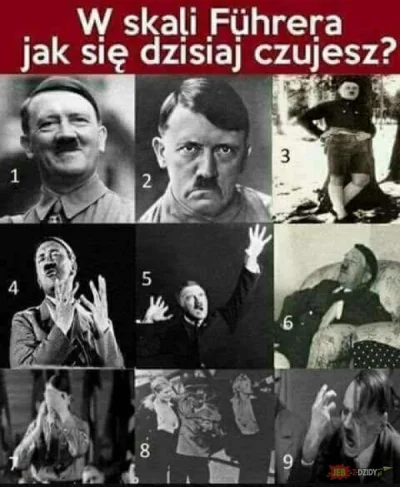 Bita_Smietana69 - #polskieobozykoncentracyjne
A wy jak sie czujecie #hitler