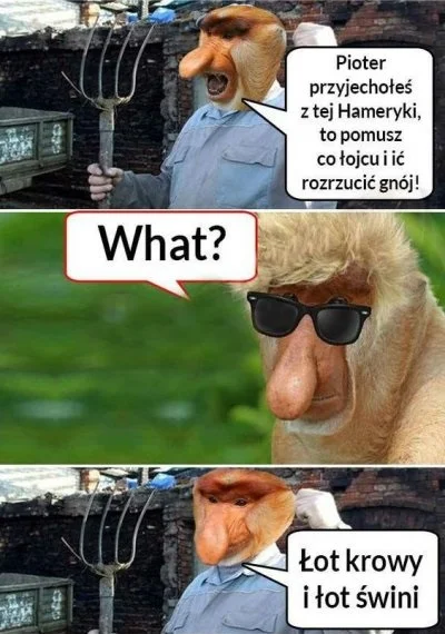 wlepierwot - #polak #nosaczsundajski #heheszki #humorobrazkowy #gownowpis #suchar