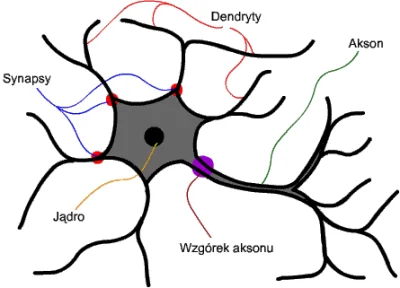 bioslawek - @tojestmultikonto:Fajne animacje: http://www.cs.put.poznan.pl/rklaus/assn...