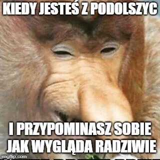 J.....s - #nosaczsundajski #heheszki #takaprawda #plock #podolszyce #radziwie
Otwier...