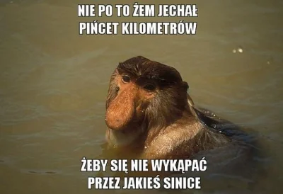 Mirekzkolega - Taka prawda 
#polak #janusze #humorobrazkowy #heheszki
#baltyk #sini...