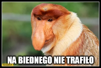 b.....t - nie lubię memów z nosaczem, ale tu jak w mordę strzelił pasuje: