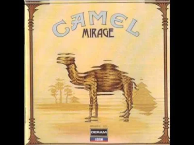 Camel - znaleziska i wpisy o #camel w Wykop.pl