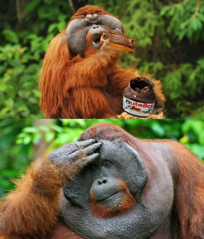 j.....o - #wegetarianizm #weganizm #olejpalmowy #humorobrazkowy #orangutans