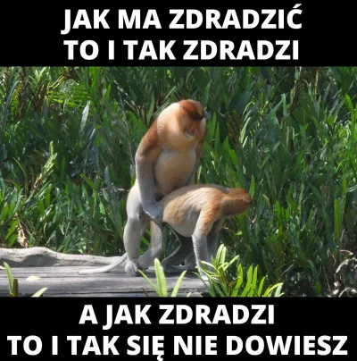 Instynkt - #zwiazki #protip #takaprawda #zdrada #bolecnaboku