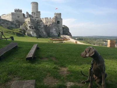 BarkaMleczna - Ale zrób mi takie poważne, że niby zamyślona jestem. 

Może mały konku...