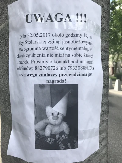 pedrou17 - Pilnie poszukiwany Miś !:) #gdansk