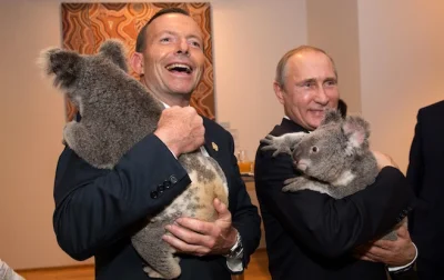 eurano - Putin z misiem koala (⌐ ͡■ ͜ʖ ͡■)

#ociepleniewizerunkuputina #humorobrazkow...