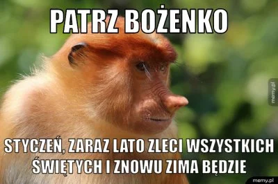 Adam_Lechistan - #polki #humorobrazkowy #heheszki #polak