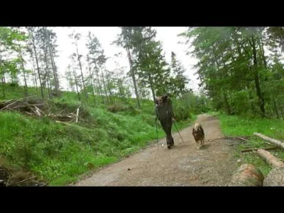 teleimpact - #aza #pies #gory #wycieczka

Wypad z Azą - Na naszym ulubionym szlaku....