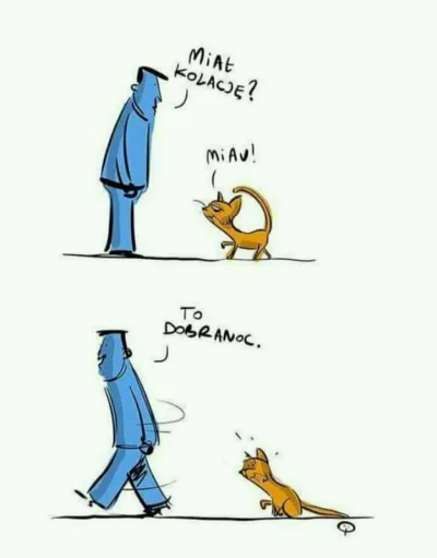 laaalaaa - #koty #kociocore #humorobrazkowy