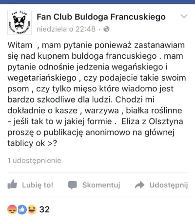 mun88 - Kolejny wege wielbiciel psów ... #bekazwegetarian #psy #buldogfrancuski