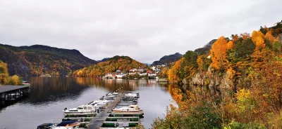 PMV_Norway - #norwegia #wlasne #flekkefjord #fotografia
Po drodze do domu. To tylko 1...