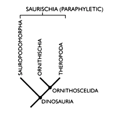 CrazyDino - Nowe badania całkowicie zmieniają klasyfikację dinozaurów. Absolutnie naj...