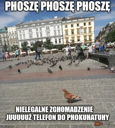 Zawodowy_Janusz
