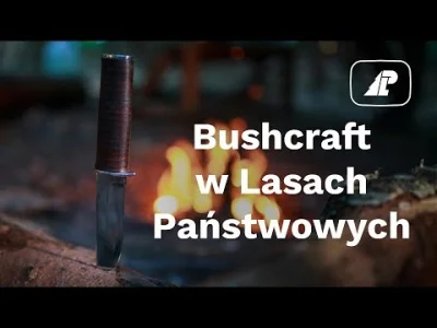 Kolsky - O to i jest! Lasy Państwowe i #bushcraft