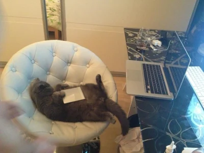 Jendryn - Mój kotełe testuje grubszy sprzęt ;)