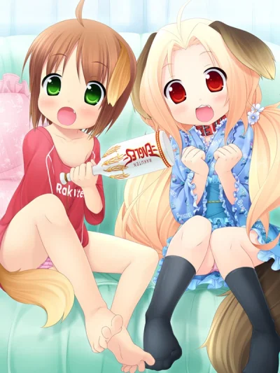 z.....s - #randomanimeshit #loli #lolizeliego #meiko #raki #kemonomimi #inumimi @jama...