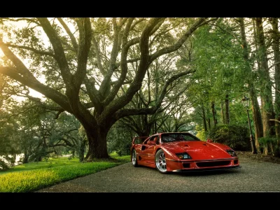 e.....o - #carboners #ferrari #f40