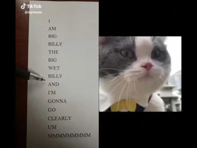 twojastaraluz - Kiedy kot ogarnia bardziej angielski niż ty.
#kitku #koty #pokazkota...