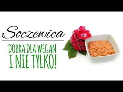 cosdlazdrowia_pl - Z cyklu "DLA WEGAN" – SOCZEWICA

Soczewica jest polecana weganom...