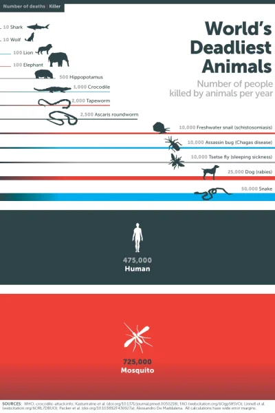 Mark13 - #ciekawostki Jakie zwierzę zabija najwięcej ludzi w ciągu roku?