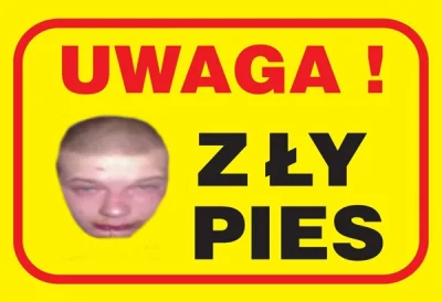 Lordozowybyk - Ten pies azor pilnuje streamow swojej pani mistress z soliderhelmetem ...