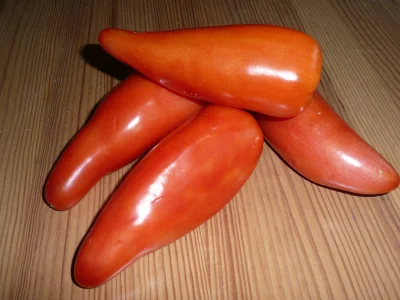 nacodybiewwielorybie - @adamtkd: pojawiły się też takie pomidory, ale nie polecam bo ...