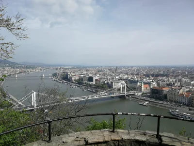 PanZiomek - Pozdrowienia z Budapesztu
#podrozujzwykopem #Budapeszt #wegry