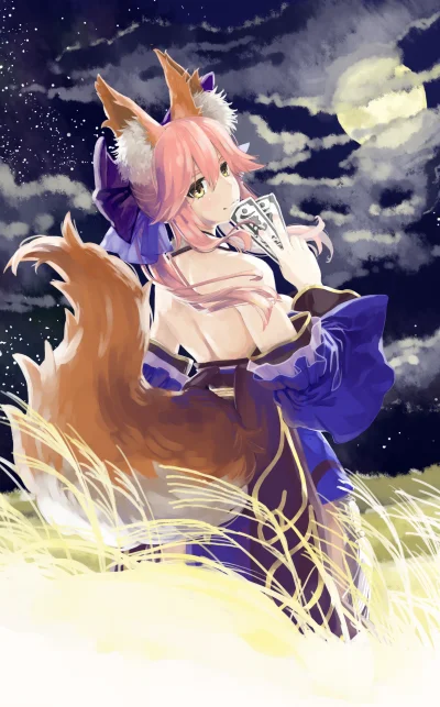 LlamaRzr - #randomanimeshit #fate #fategrandorder #fateextra #tamamo #tamamonomae #ke...