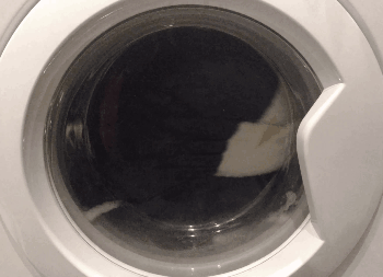 hatterka - W końcu namówiłam tego brudasa na kąpiel, ale po jego minie widzę, że chyb...