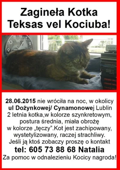 Naciass - Ej #lublin #koty zaginęła kocica Teksas w okolicy ulicy Dożynkowej. Jeśli k...