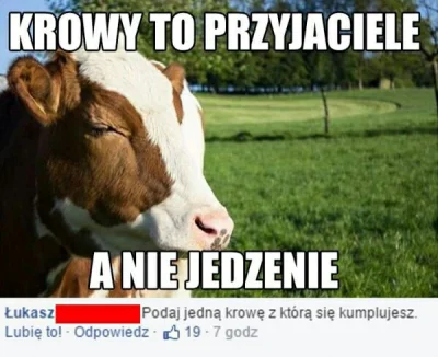 vegetassj1 - #bekazpodludzi #bekazwegan #bekazwegetarian
Ja miałem taką przyjaciółkę ...