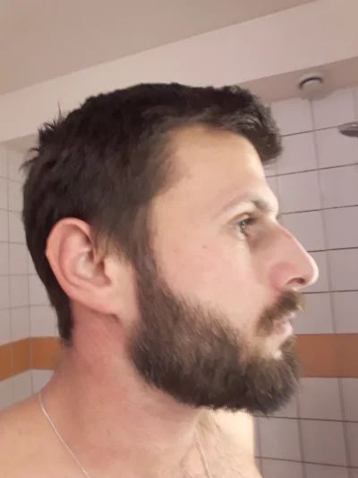 krnabrny_brodacz - Przyciąłem brodę i czuję, że spartaczyłem... 
Zdjęcia dla porównan...