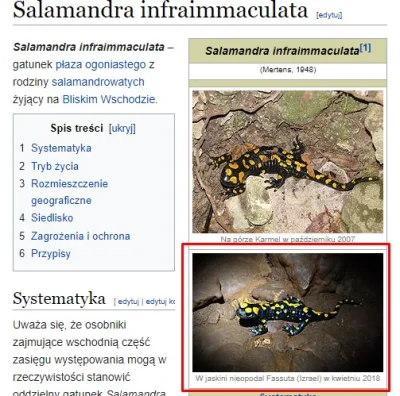 iskra-piotr - No więc stało się! Moja pierwsza malutka publikacja na Wikipedii na dob...