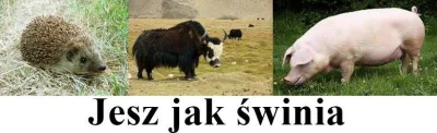 Istavan - #humorobrazkowy #heheszki