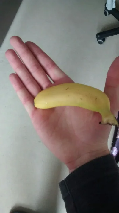 C.....s - Wszyscy mówią, że mam duże dłonie. Czy to prawda? Banan dla skali #pokazdlo...