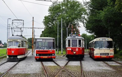 robekk1978 - Śliczności
#tramwaje #autobusy #tramwajeboners #komunikacjamiejska