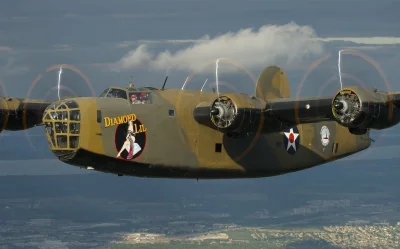 CanisLupusLupus - #aircraftboners #b24