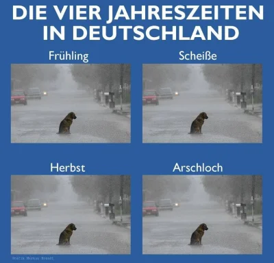 tusiatko - #niemcy #pogoda #niemieckihumor #heheszki

Śmiechłam motzno :D



SPOILER
...