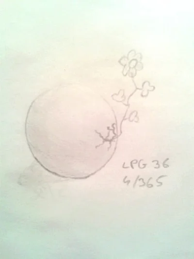 LPG36 - Kula z kwiatkiem.
#365styczen